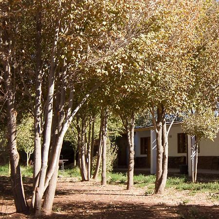 Terracota Hotel San Pedro de Atacama Eksteriør billede